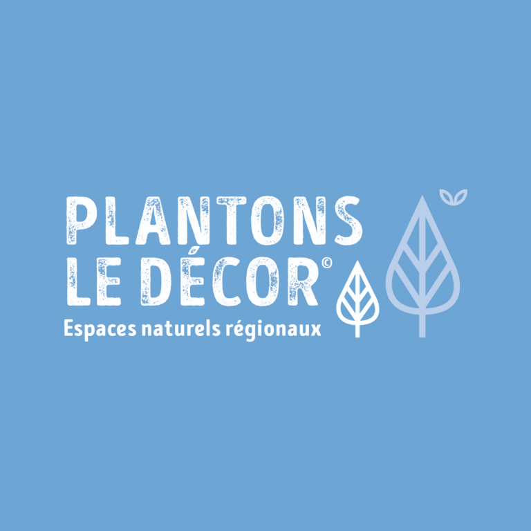 plantons-de-decor-2023